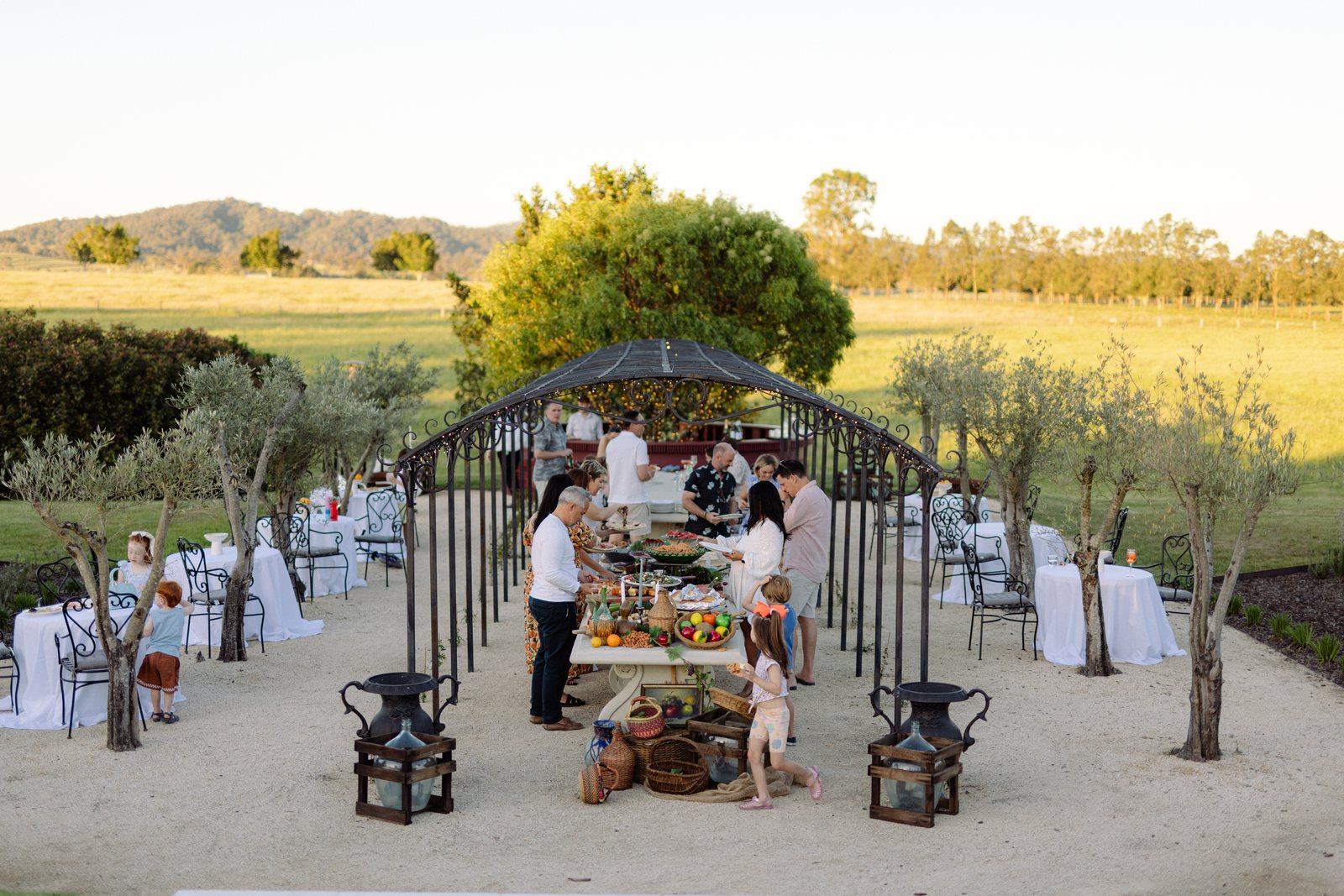 An evening gathering under the Olive Garden pergola in golden light